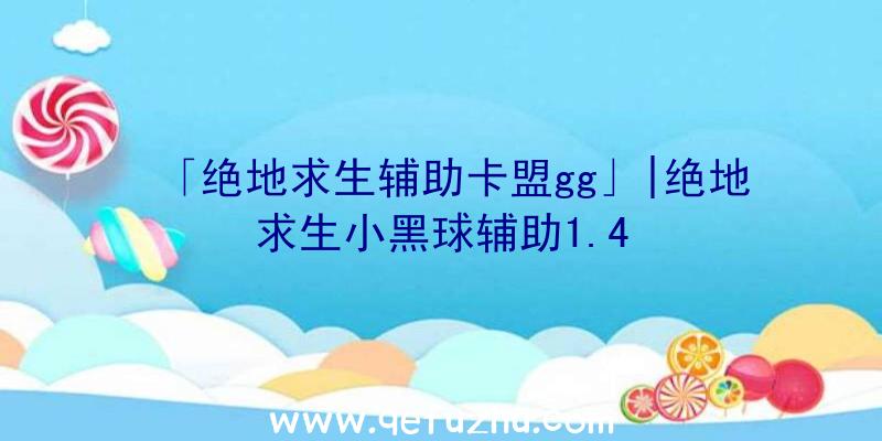 「绝地求生辅助卡盟gg」|绝地求生小黑球辅助1.4